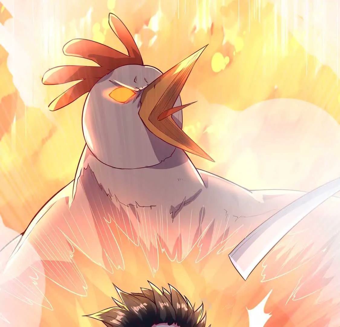 chapter page