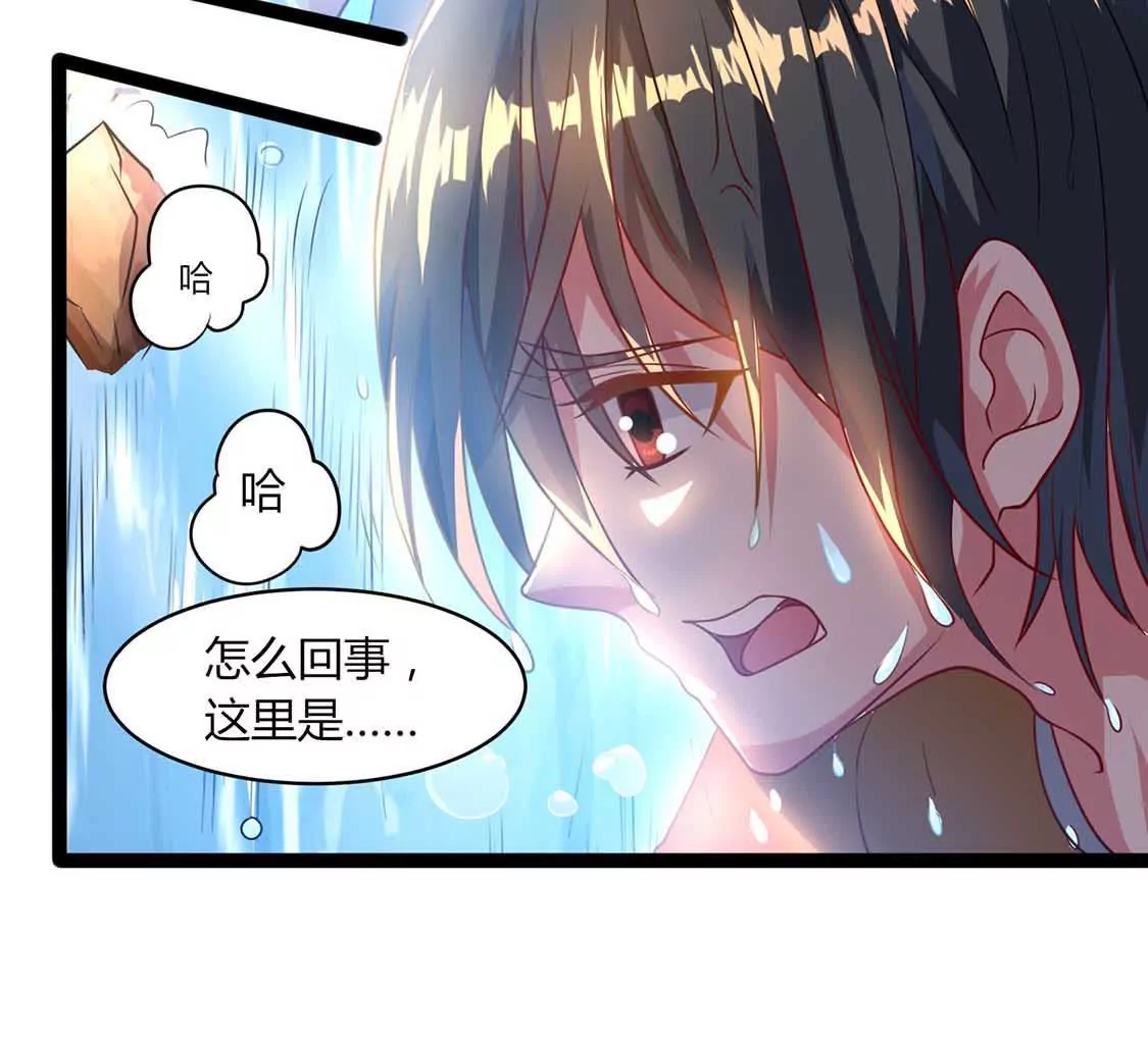 chapter page