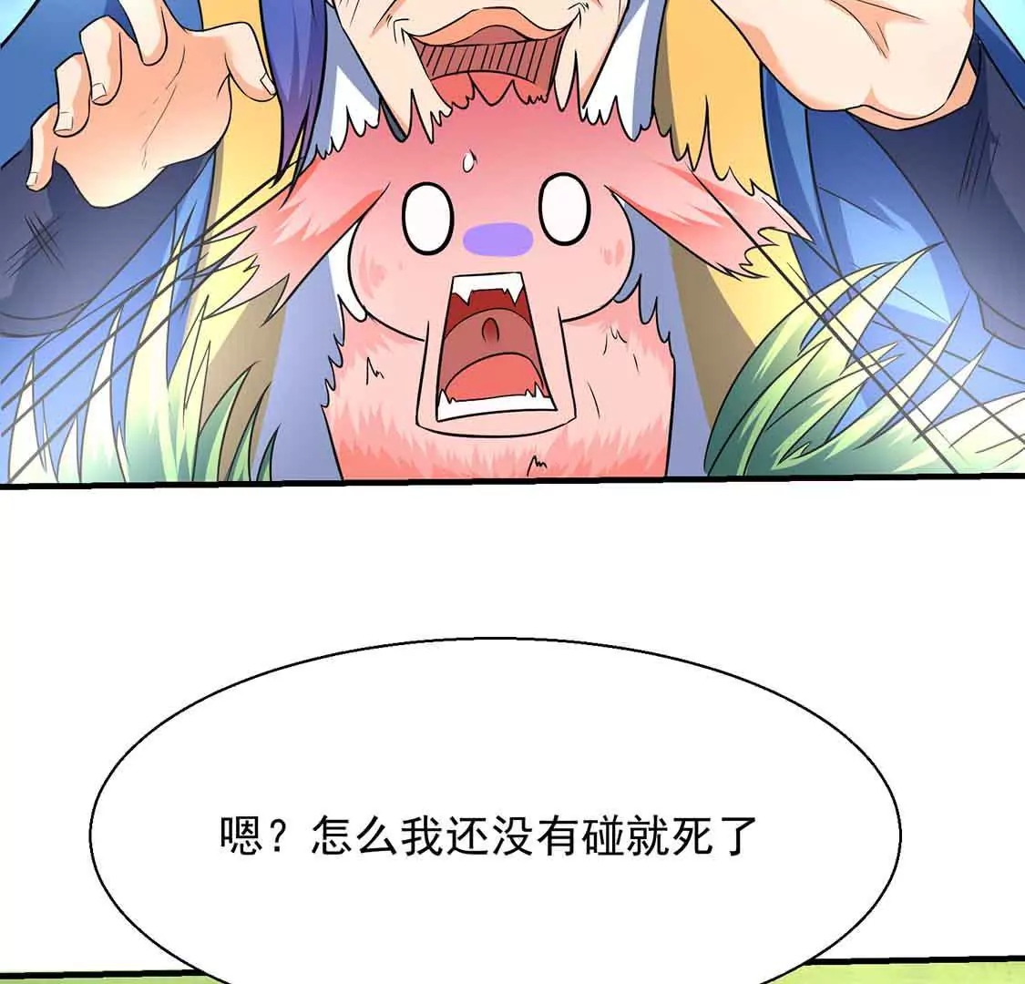 chapter page