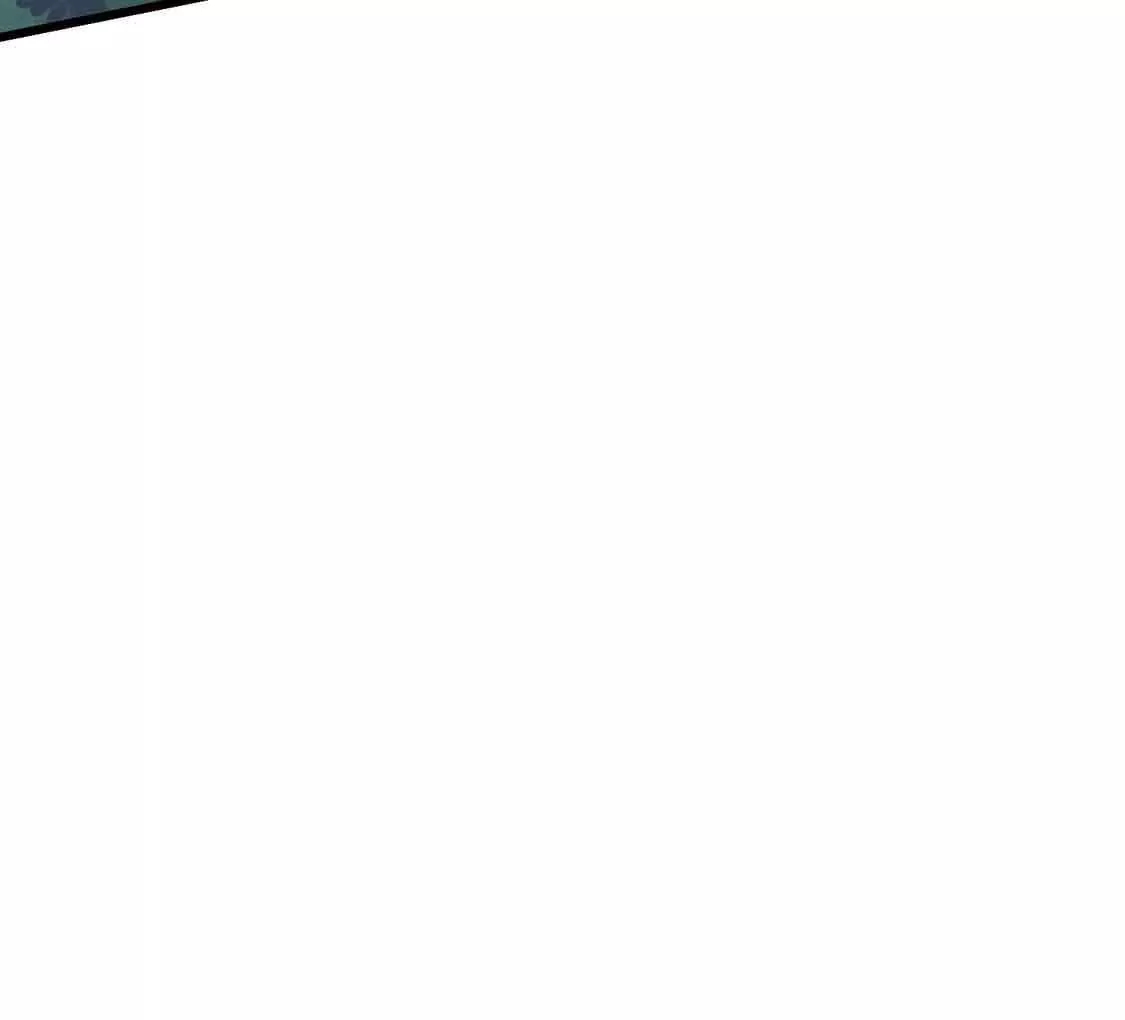 chapter page