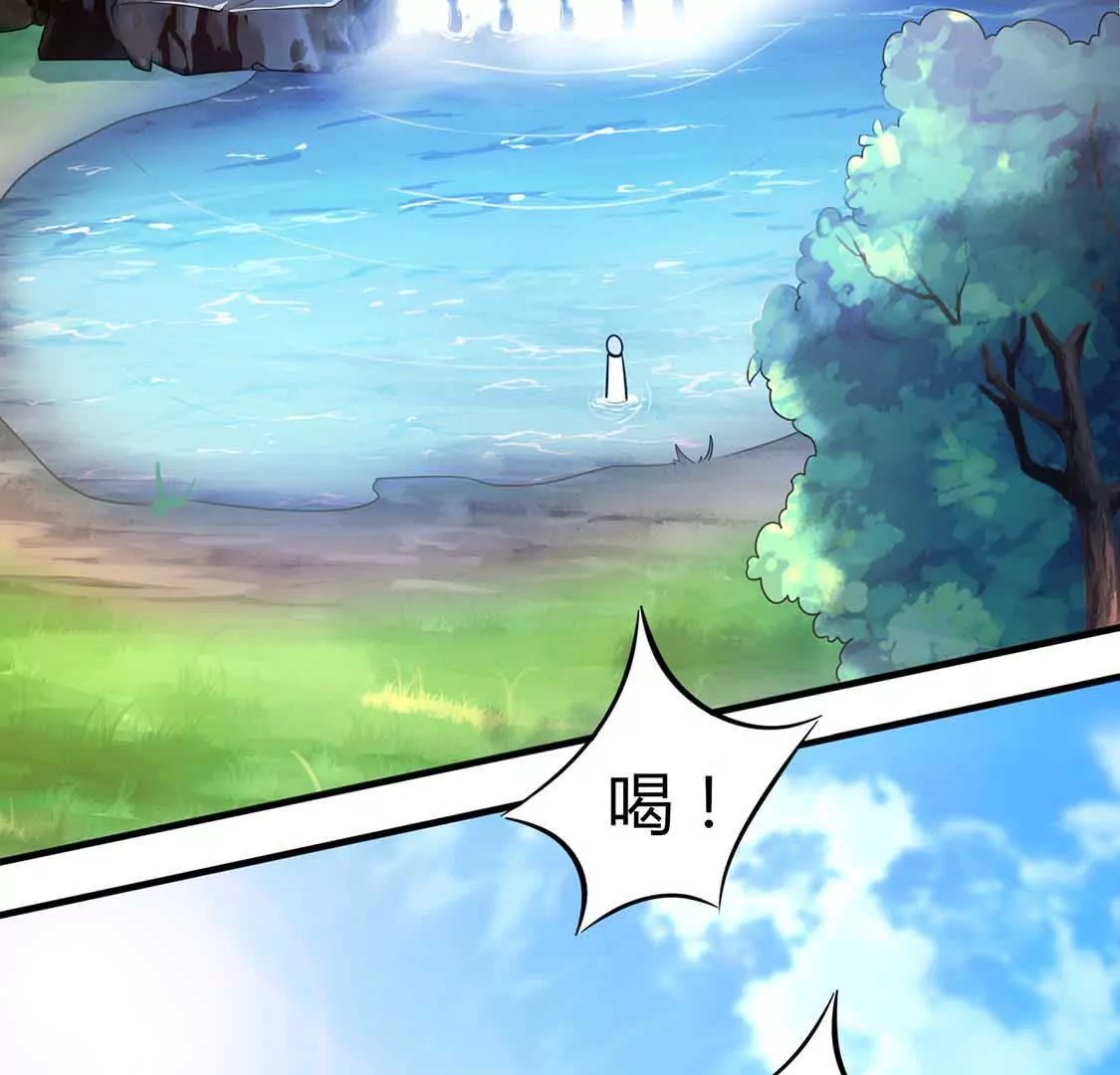 chapter page