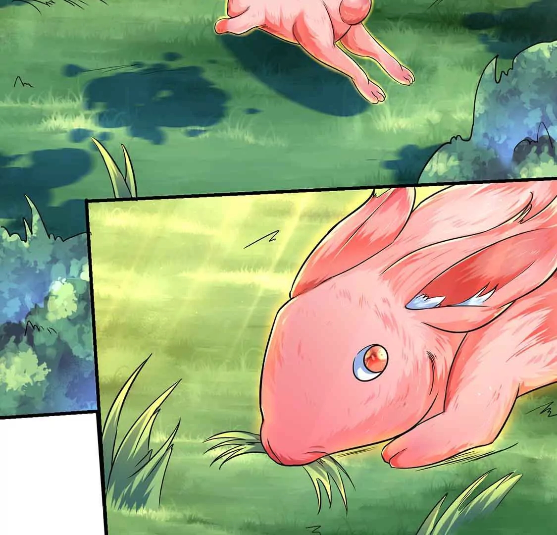 chapter page